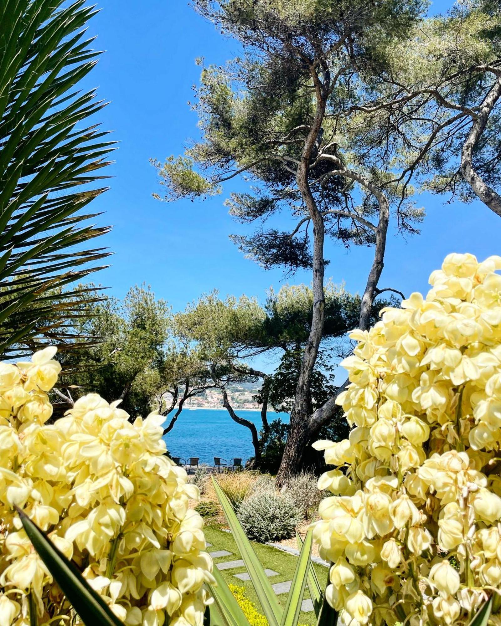 Villa Prado Sanary エクステリア 写真